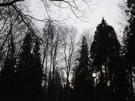 32153 (a): :1600x1200